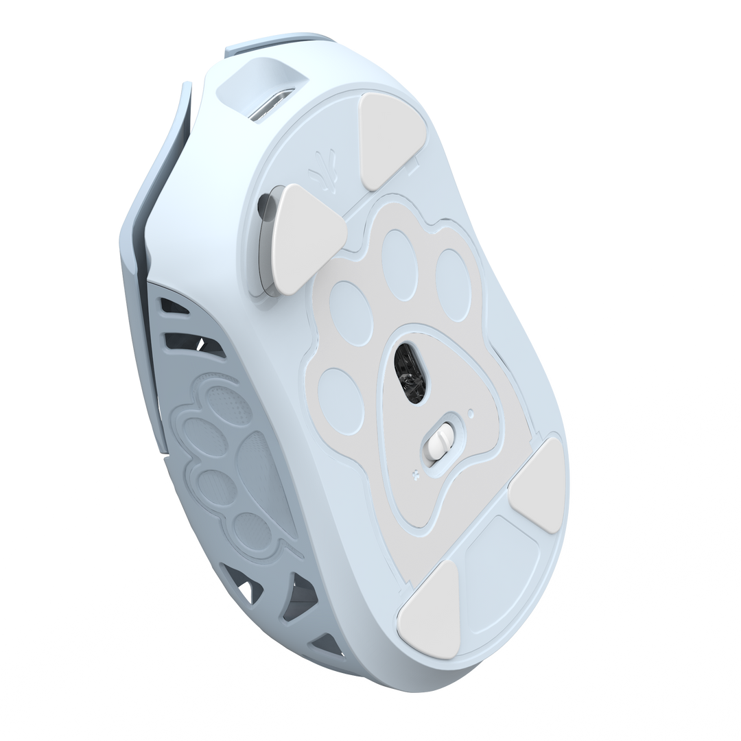 PTFE Skates for Miao